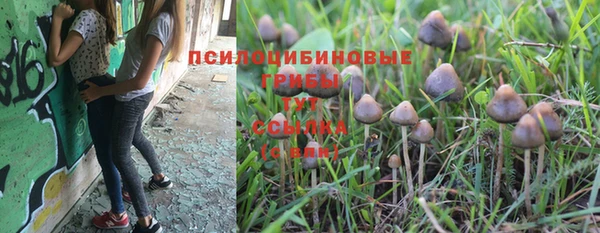 мескалин Алзамай