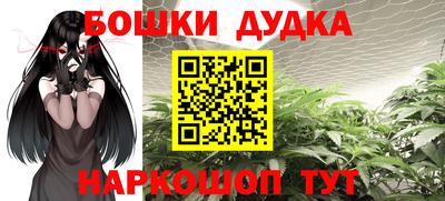 бошки Будённовск