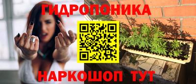 бошки Будённовск
