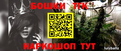 бошки Будённовск