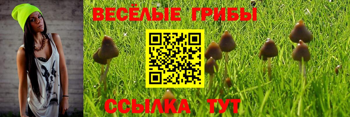 Галлюциногенные грибы ЛСД  Псилоцибиновые грибы ЛСД  Асбест  Вход с VPN 