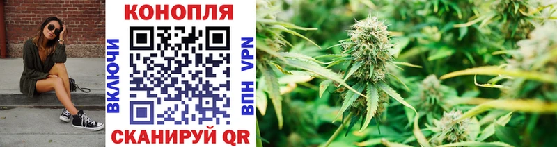 купить цена Асбест Конопля OG Kush
